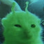 glorp