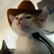 我梦到过这一段