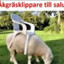 tesokeso69