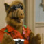 Alf