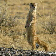 要不地球ol你把我删了吧