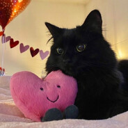 meanwhile - steam id 76561198982352613