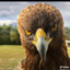 Code02 mycsgoo.net
