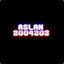 Aslan2004202