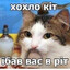 ХОХЛОДЁР