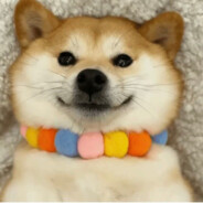 今天的风儿甚是喧嚣