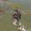 ballsrash65