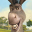 DÜLDÜLDONKEY