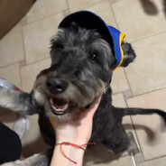 PerritoMaster