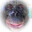 gibbon