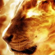 ..:: Well® ::..