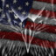 Freedom Man