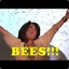 FIVEHUNDREDBEES