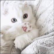 დ 遗忘Love Paradise♪