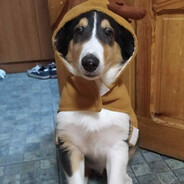 ❀𝕏𝔸ℝ𝕆𝕐❀