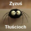 Zyzuś Tłuścioch