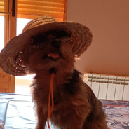 Zypaturbo