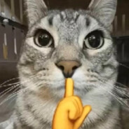 小猫你可以吃爆炸手雷