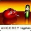 An Angerey Vegetal