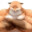 Foxx