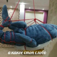 ◉◡◉ EDINOROG ◉◡◉