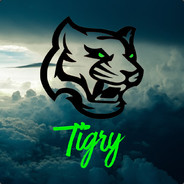 Tigry