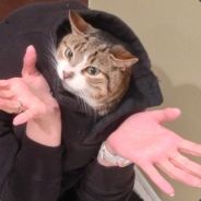 j_dizzle_x86 - steam id 76561197962118904