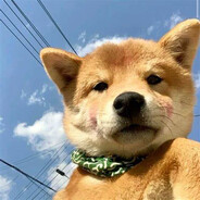 唔唔唔唔~