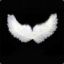 #Team^иsĄ» f4LL3n :L: