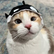 Mossad Agent