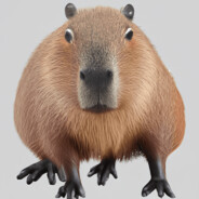 JIuMoH4uk Steam avatar