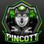 Pincott