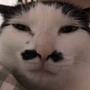 龙神薄纱二次元