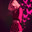 pinktinkerdog