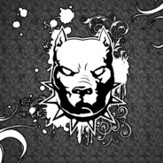 PITBULL0707 avatar