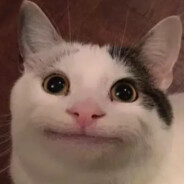 R4F