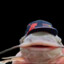 Emmer_