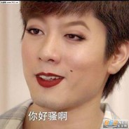 元气少男洪世贤