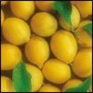 Lemon Merchant (RIP)