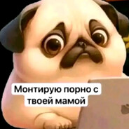 крутой мопсик ася