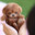 Teacup Poodle