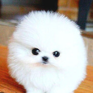 EbZ. - steam id 76561198448261452