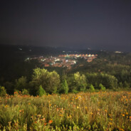 满山猴子我腚最红