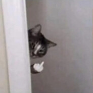 Didi Kitty