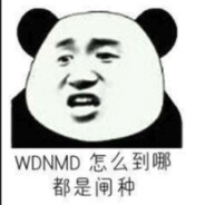 WDNMD