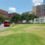 The Grassy Knoll