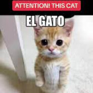 EL GATO