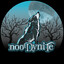 Noody Nite