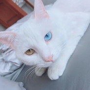 TA还未婚我想等等