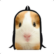 stewie22cão
